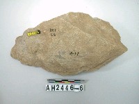 藏品(石料)的圖片